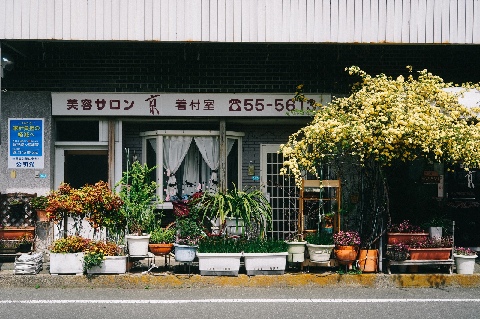 α7IV / Carl Zeiss Batis 2/40 F2 CF